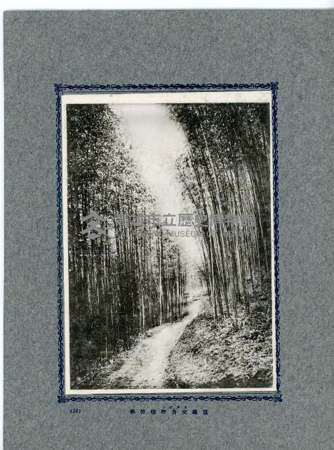 臺灣寫真卡片藏品圖，第53張