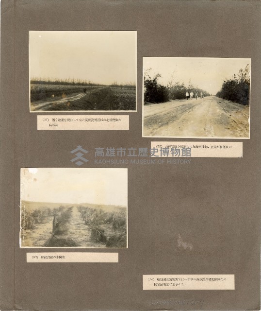 登錄號:KH2003.008.0186藏品圖，第13張