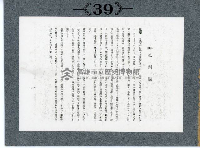 臺灣寫真卡片藏品圖，第74張
