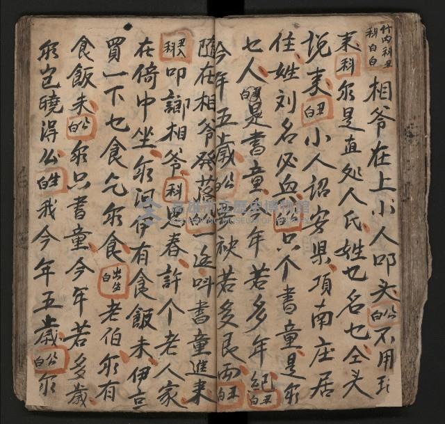 皮影戲劇本《飛鵝洞白荔枝》藏品圖，第73張