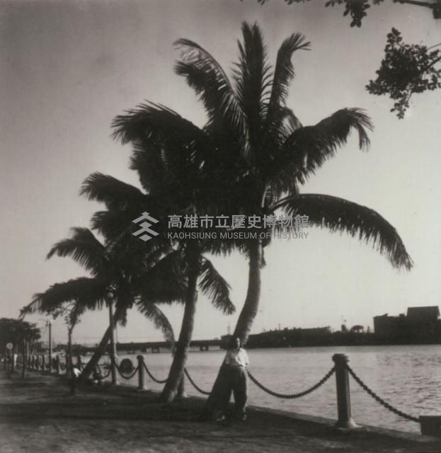 南國情調－愛河風光-1藏品圖，第1張