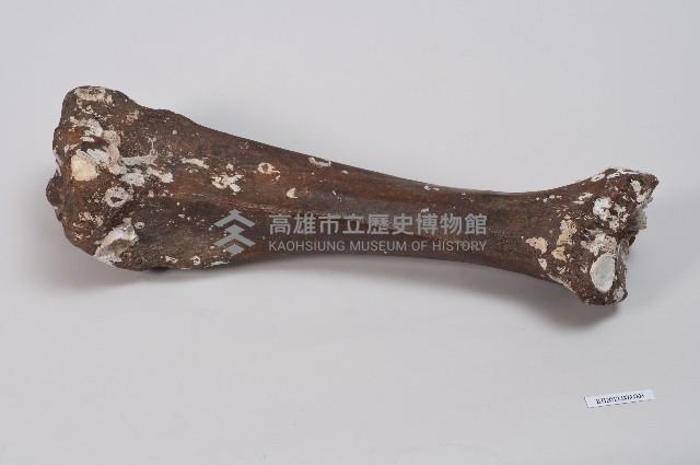 登錄號:KH2012.009.0008藏品圖，第1張