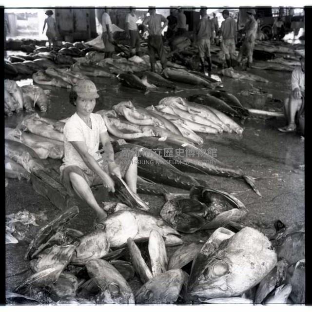 小魚販藏品圖，第1張