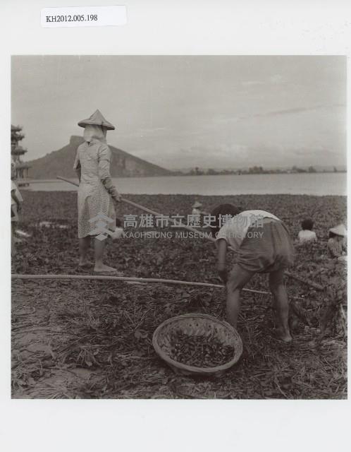 登錄號:KH2012.005.0198藏品圖，第1張