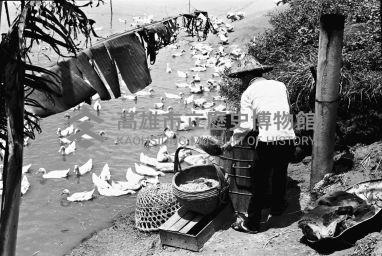 登錄號:KH2006.014.0198藏品圖，第1張