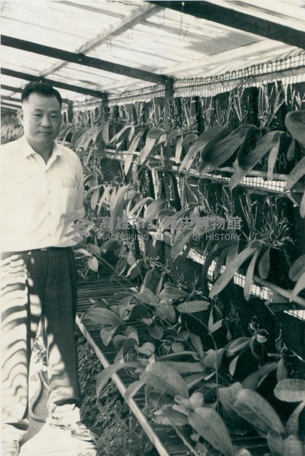 高雄市郊外左營的洋蘭栽培家李金盛氏邸訪問藏品圖，第1張