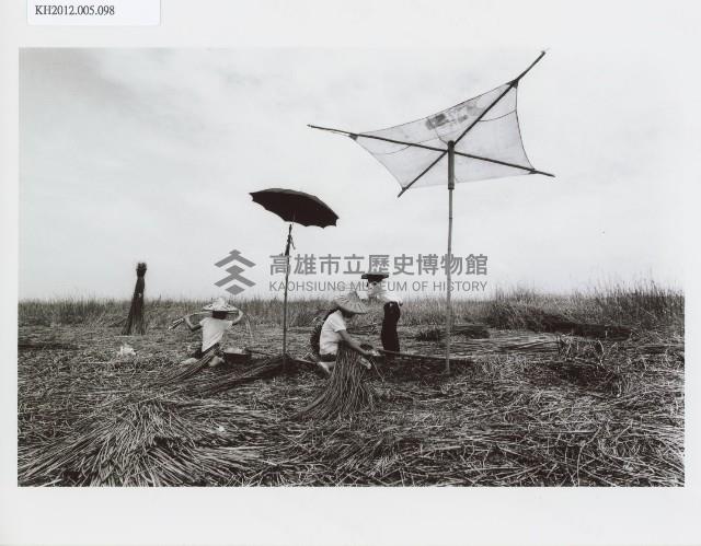 登錄號:KH2012.005.0098藏品圖，第1張