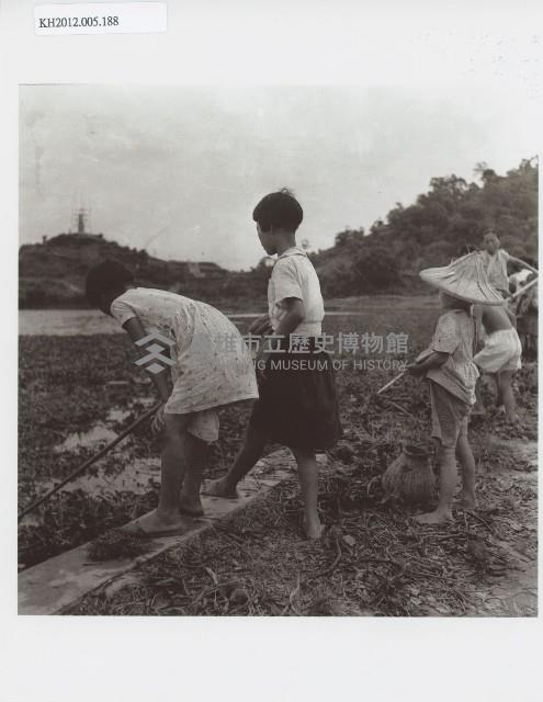 登錄號:KH2012.005.0188藏品圖，第1張