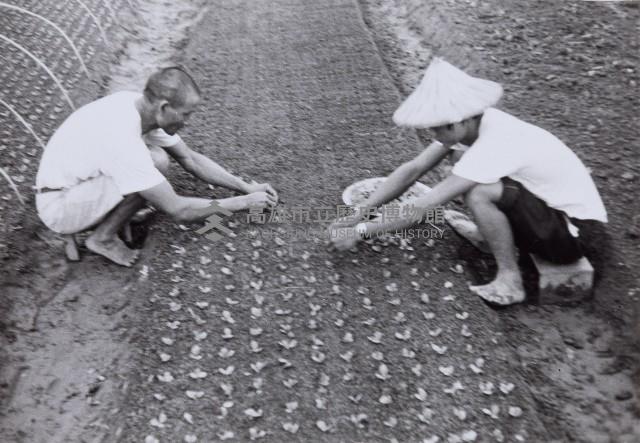 登錄號:KH2015.003.0038藏品圖，第1張