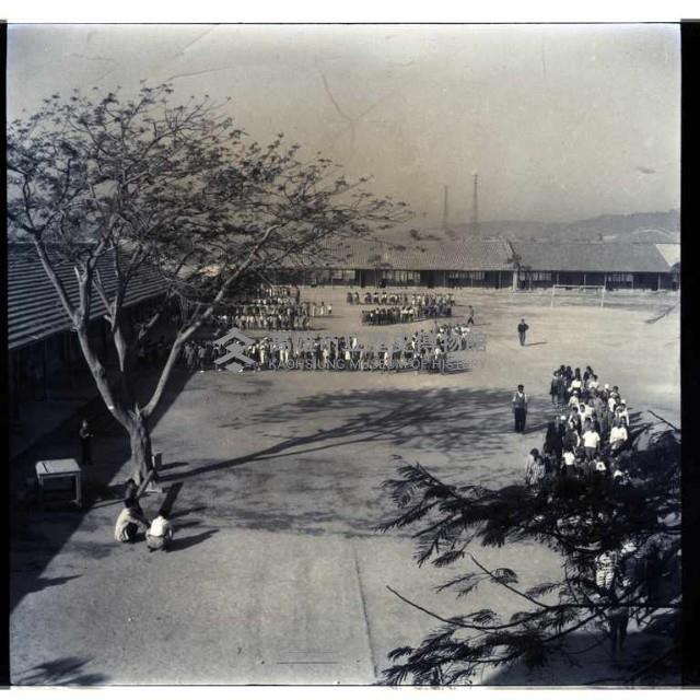 高雄市前金國小藏品圖，第1張