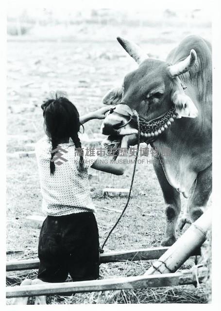 登錄號:KH2015.005.0180藏品圖，第1張