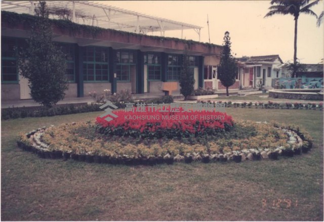 1991年鳳鳴國小花圃與校舍建築藏品圖，第1張