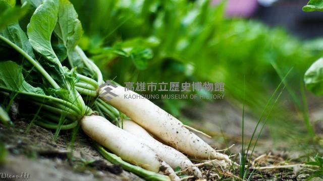 登錄號:KH2017.016.0006藏品圖，第1張