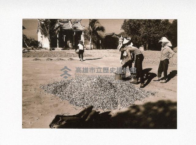 岡山嘉峰里真亘古廟前曬榖藏品圖，第1張