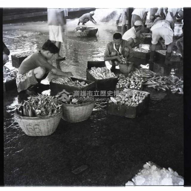 小魚販藏品圖，第1張