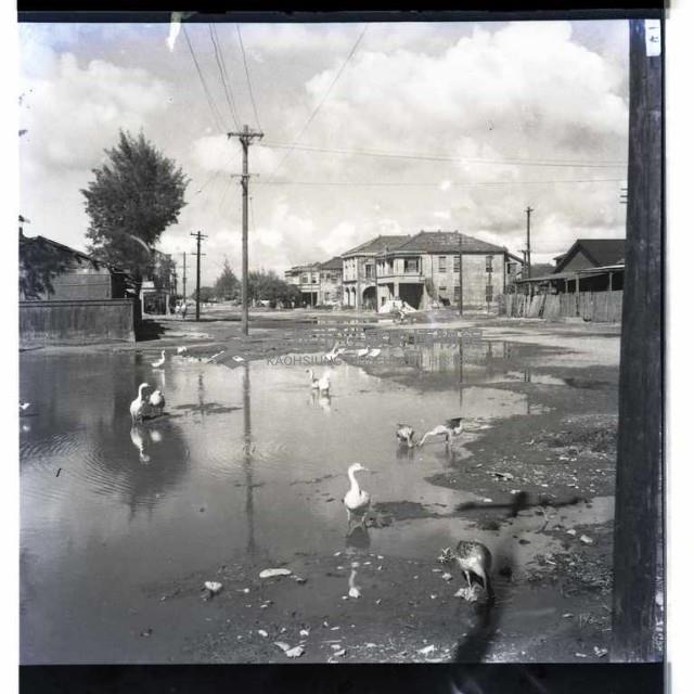 臺灣省檢處藏品圖，第1張