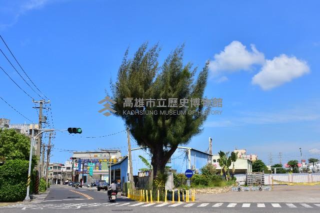 大林蒲—木麻黃藏品圖，第1張