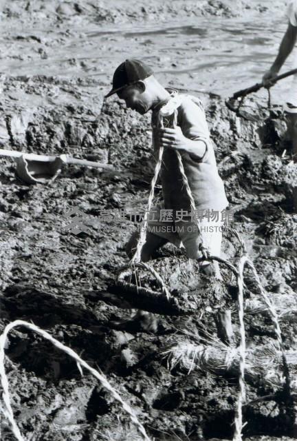 高雄鄉間農作景象-15藏品圖，第1張