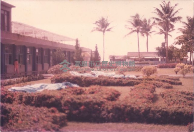 鳳鳴國小鳳鳴二字花圃近景藏品圖，第1張