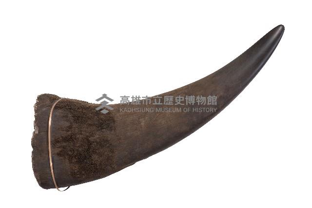 南非德班姊妹市犀牛角Durban rhinoceros horn, South Africa藏品圖，第1張
