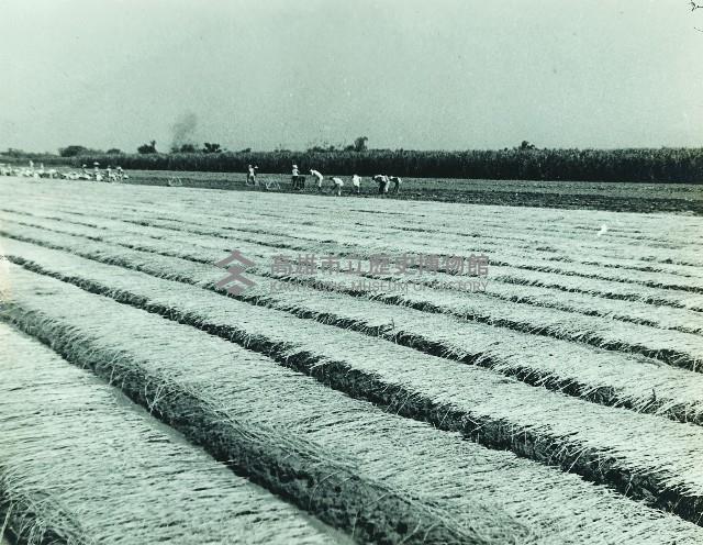 登錄號:KH2003.003.0291藏品圖，第1張