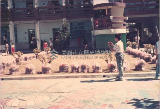 鳳鳴國小種植新花草藏品圖，第1張