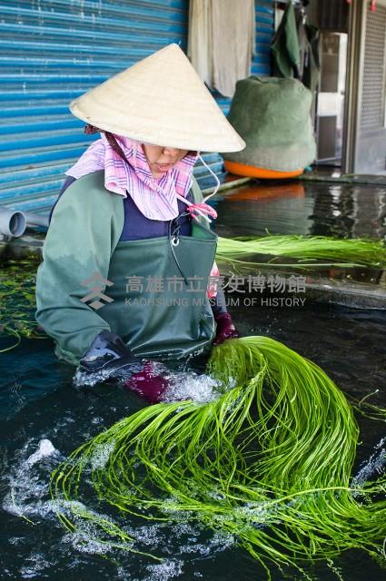 登錄號:KH2017.016.0004藏品圖，第1張