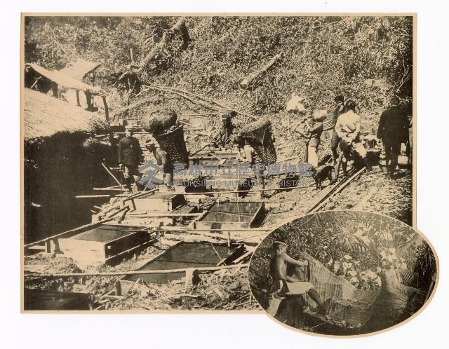 樟腦製作圖片藏品圖，第1張