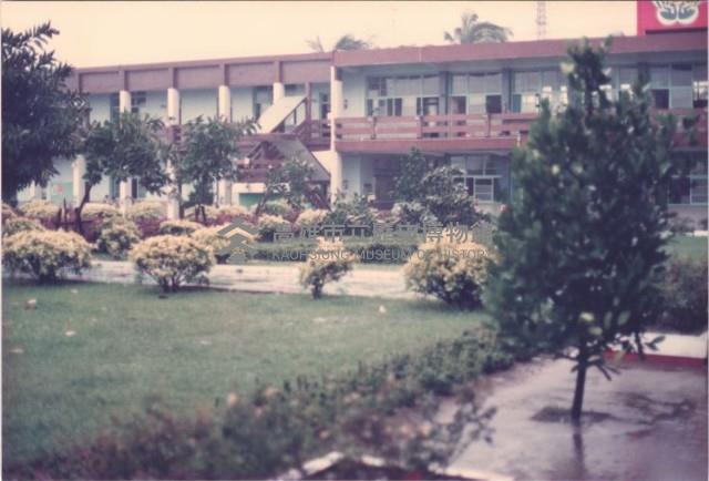 鳳鳴國小樹木被颱風吹倒藏品圖，第1張