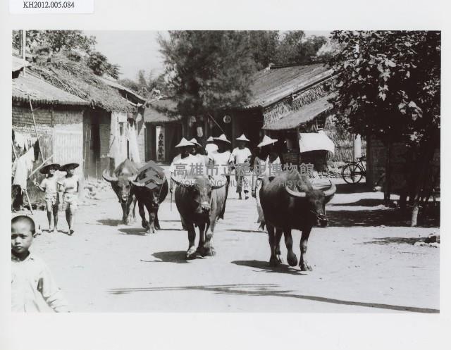 登錄號:KH2012.005.0084藏品圖，第1張