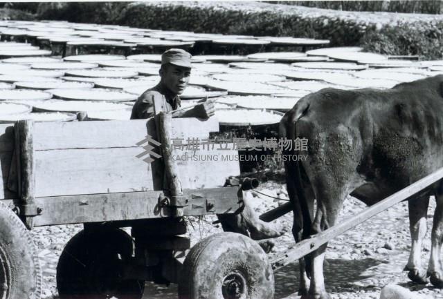 高雄鄉間農作景象-13藏品圖，第1張