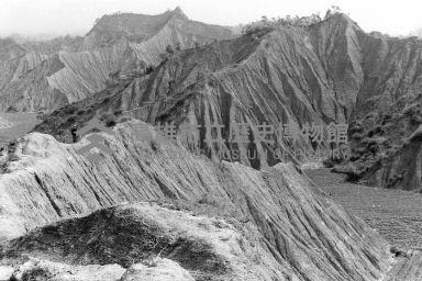 登錄號:KH2006.014.0384藏品圖，第1張