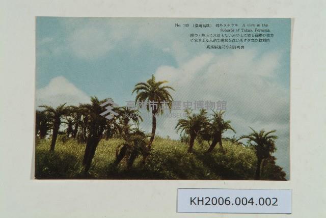 臺灣高雄郊外蘇鐵樹明信片藏品圖，第1張