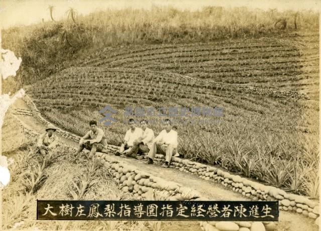 大樹庄鳳梨指導員指定經營者陳進生藏品圖，第1張