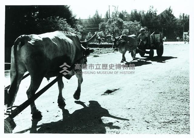 登錄號:KH2015.005.0182藏品圖，第1張