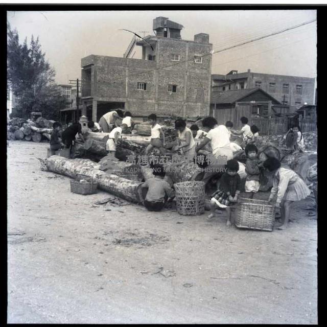 取木頭皮當柴燒（爭拔乾樹皮）藏品圖，第1張