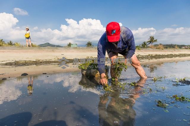 登錄號:KH2017.016.0007藏品圖，第1張