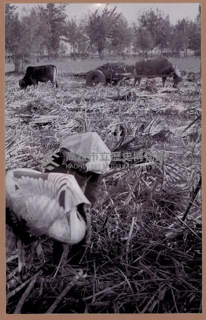 登錄號:KH2015.002.0007藏品圖，第1張