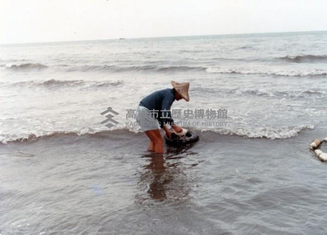 大林蒲早期海邊抓魚苗情景藏品圖，第1張