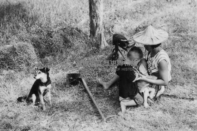 登錄號:KH2006.014.0497藏品圖，第1張