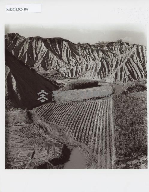 登錄號:KH2012.005.0187藏品圖，第1張