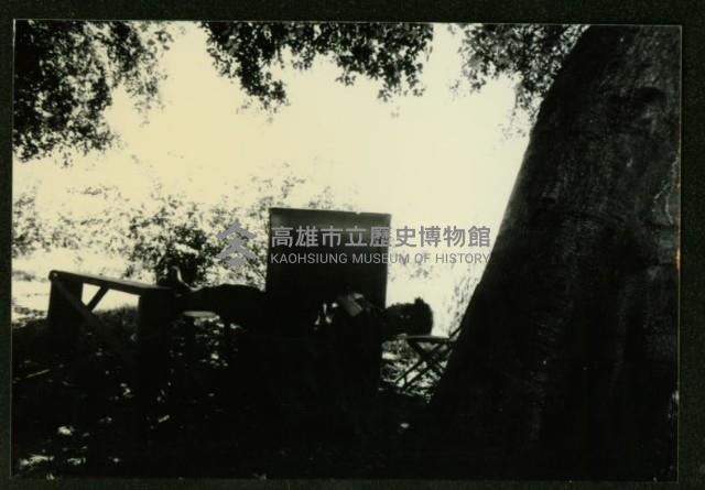 大林蒲-3藏品圖，第1張