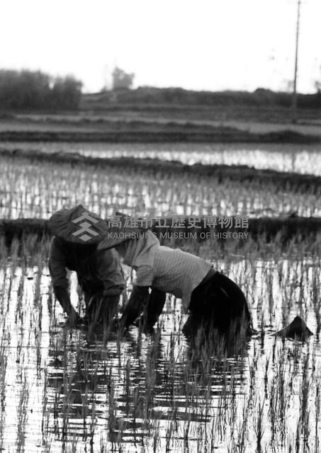 登錄號:KH2015.002.0005藏品圖，第1張