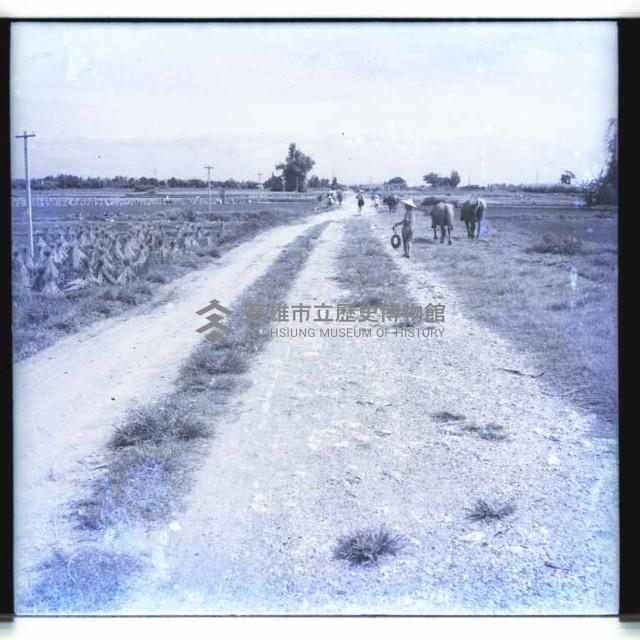 高雄市往鳳山的路藏品圖，第1張