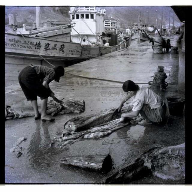 小魚販藏品圖，第1張