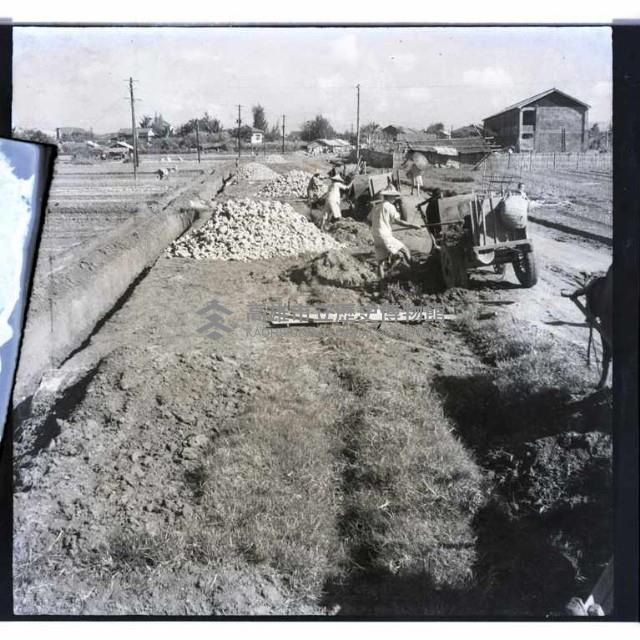 高雄市開闢林森路藏品圖，第1張