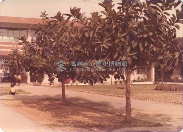 鳳鳴國小校園風景藏品圖，第1張