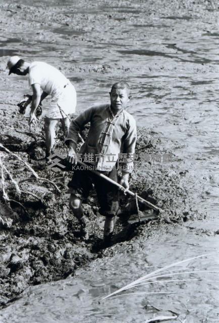 高雄鄉間農作景象-14藏品圖，第1張