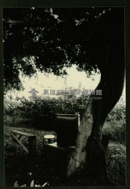 大林蒲-1藏品圖，第1張