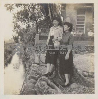張瓊梅及其堂妹於水利會水圳旁倚樹合影藏品圖，第1張